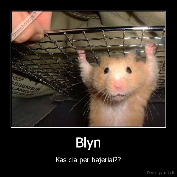 ziurkenas,grotos,ranka,neuzpisk