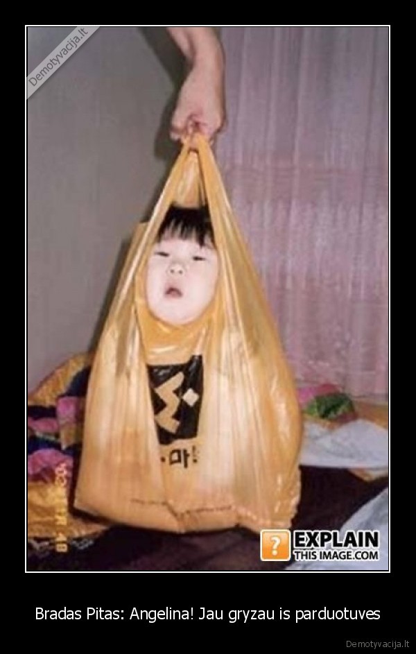 bradas, pitas, ir, angelina, jolie,daug, vaiku