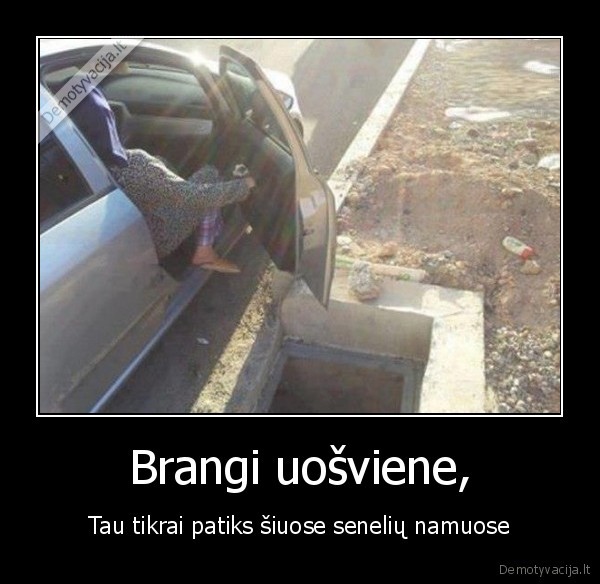 uosviene,pailsek,seneliu, namai