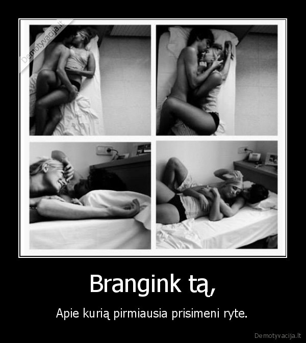 brangus, zmogus,meile,rytas