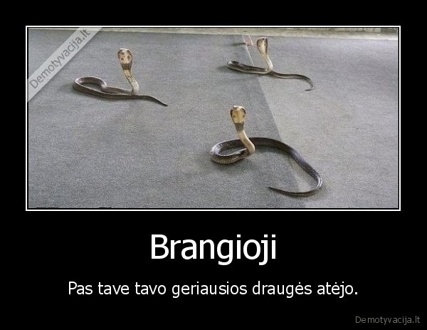 drauges,moterys,kobros