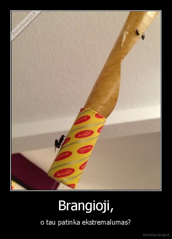 ekstremalumas,musgaudis,muses, mylisi