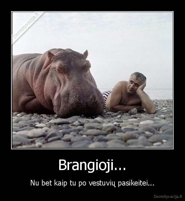 hipopotamas,begemotas,stora, zmona