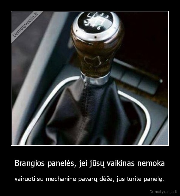 panele,vairuoti,mechanika