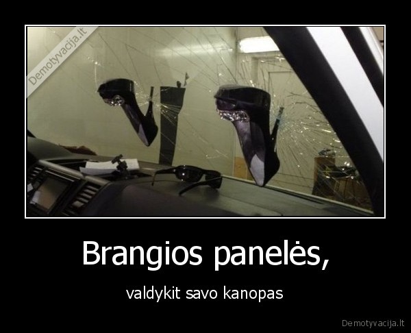 kanopos,paneles,stiklas,automobilis