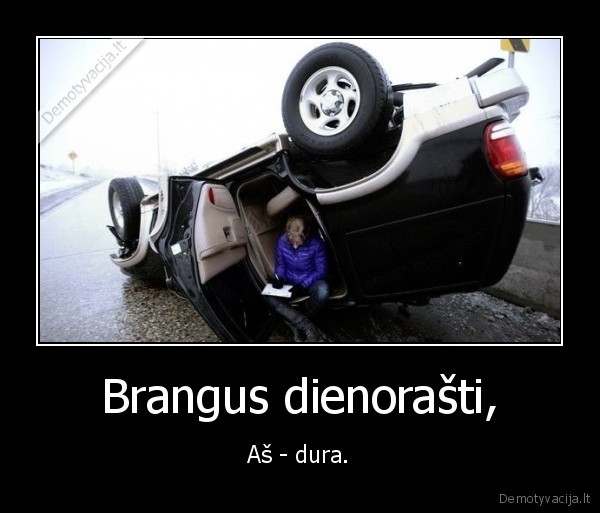 diena,dienorastis,sikna