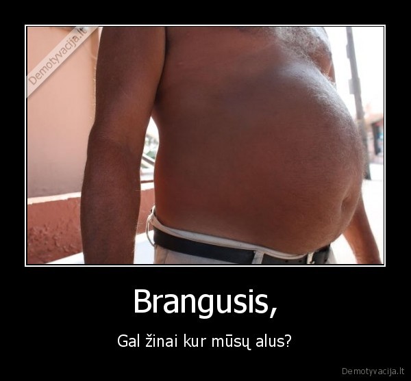 Brangusis,