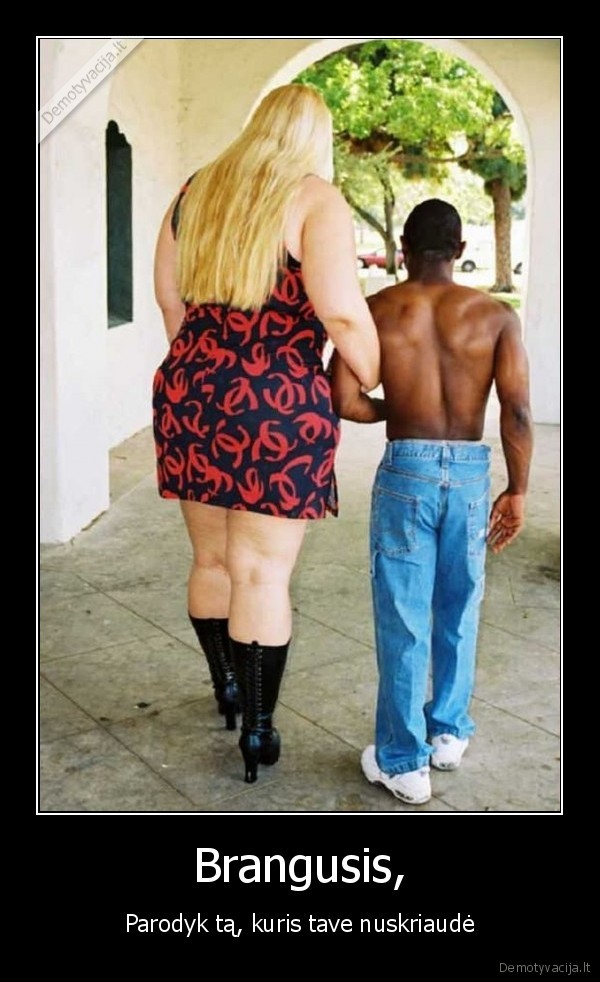 Brangusis,