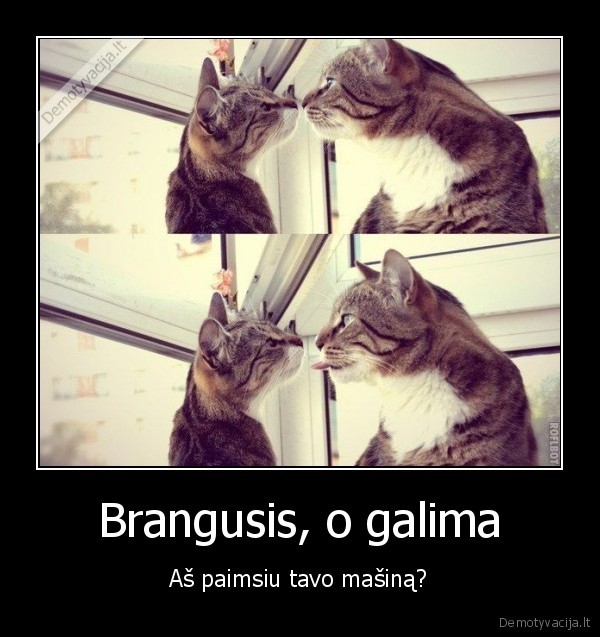 masina,brangusis,moterys,vairuoti