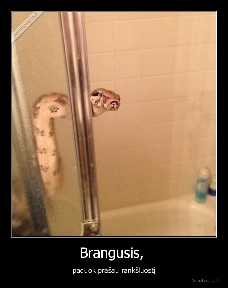 ranksluostis,gyvate,zmona