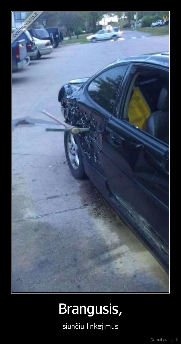 Brangusis,