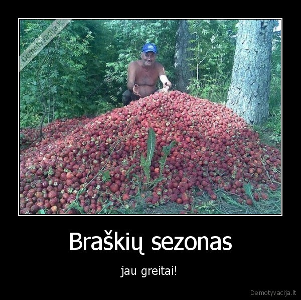 braskes,sezonas