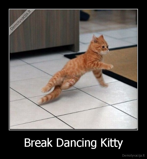 Break Dancing Kitty