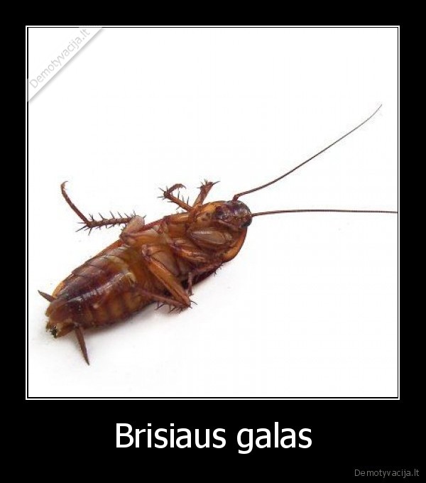 o, jonai, tevai, tau, nenupirks, serveteliu