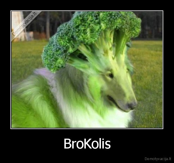 brokolis,kolis,suo