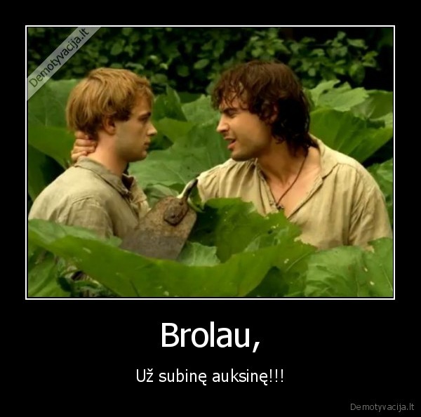 tadas, blinda, pradzia, svaras