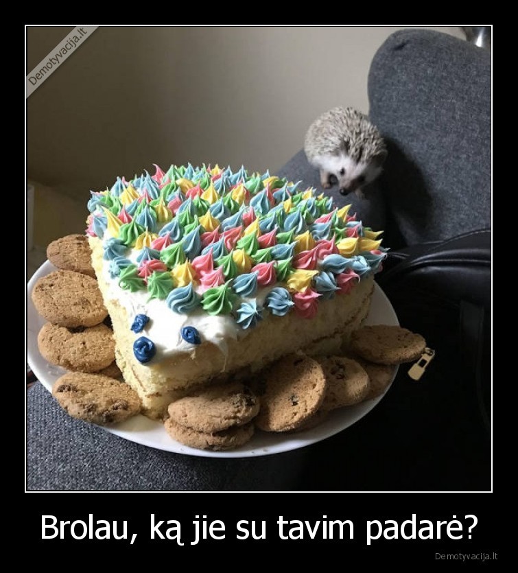 brolau,tortas,eziukas