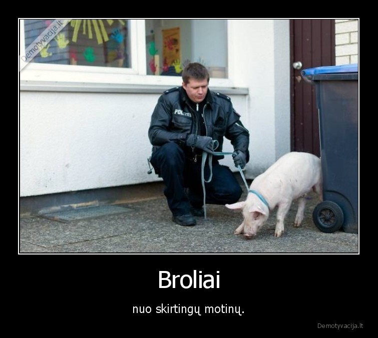 policija,kiaule,broliai