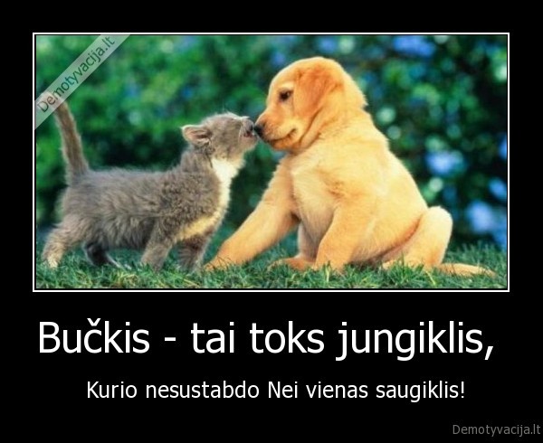 Bučkis - tai toks jungiklis, 