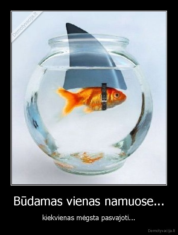 zuvys, akvariumas, svajone