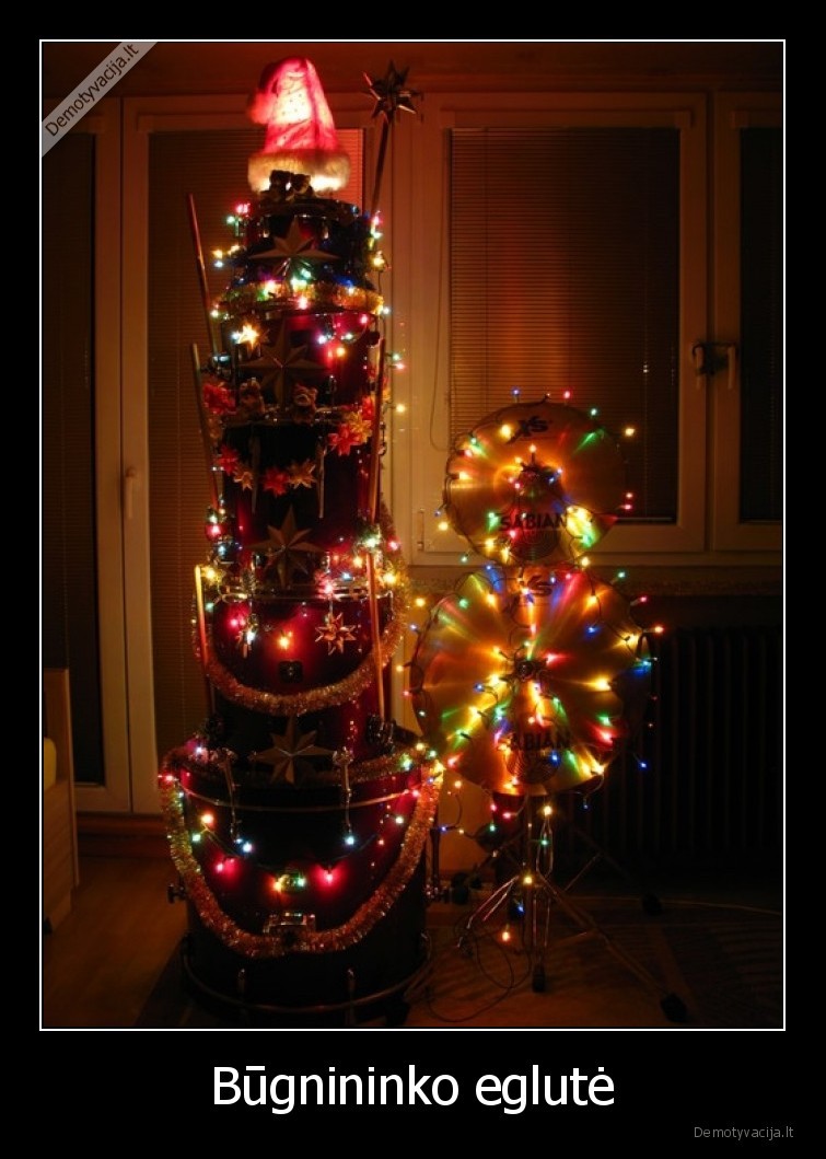 bugnininkas,eglute,bugnai,sventes