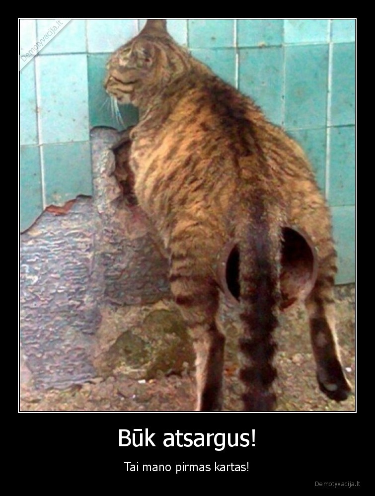 atsargumas,gedos,nedaro