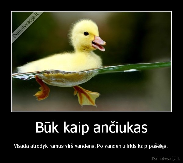 grazus, anciukas,ramus, anciukas,mielas, anciukas