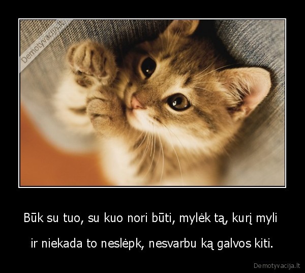 Būk su tuo, su kuo nori būti, mylėk tą, kurį myli 