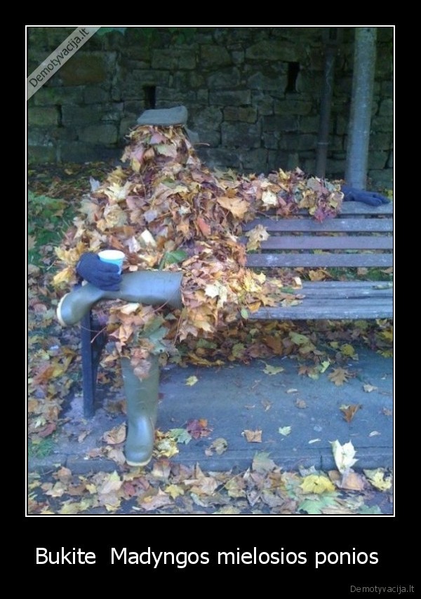 Bukite  Madyngos mielosios ponios 