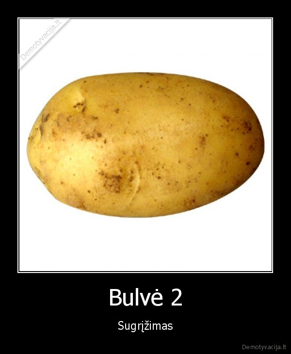 bulve