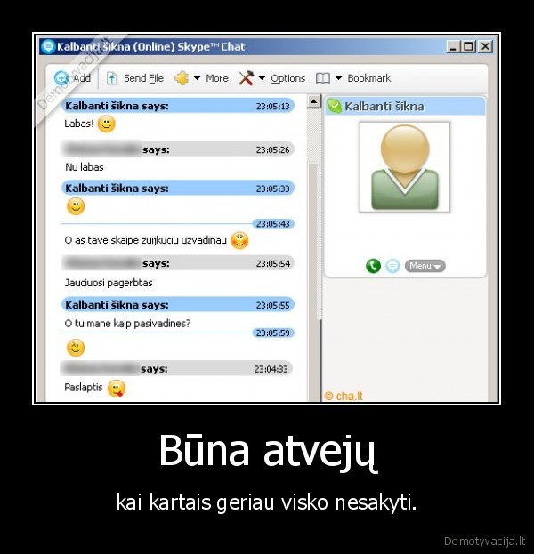 skype,pokalbis,chatas,kalbanti, sikna