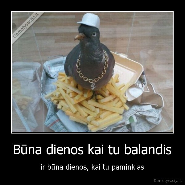 balandis