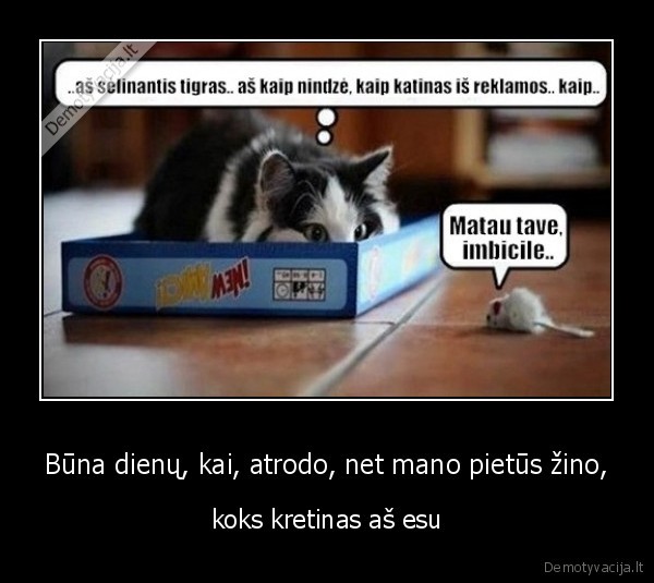 Būna dienų, kai, atrodo, net mano pietūs žino,