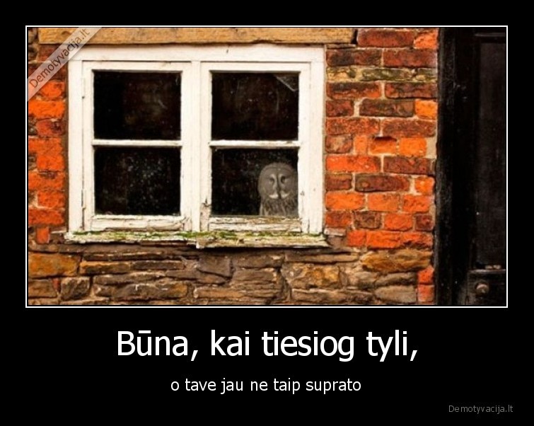 supratimas,tylejimas,peleda