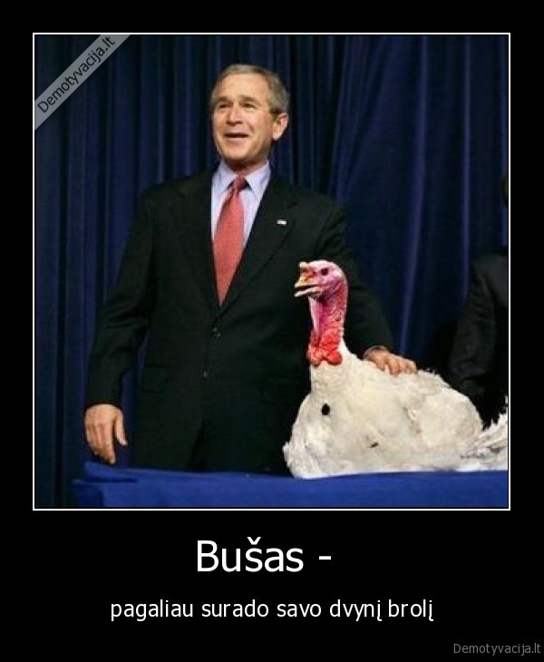 busas, buzas, beveikkubilius, bebru, ilanka