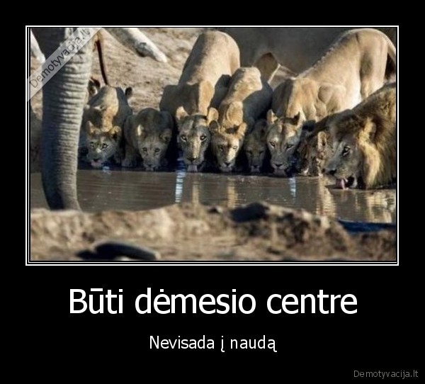 Būti dėmesio centre