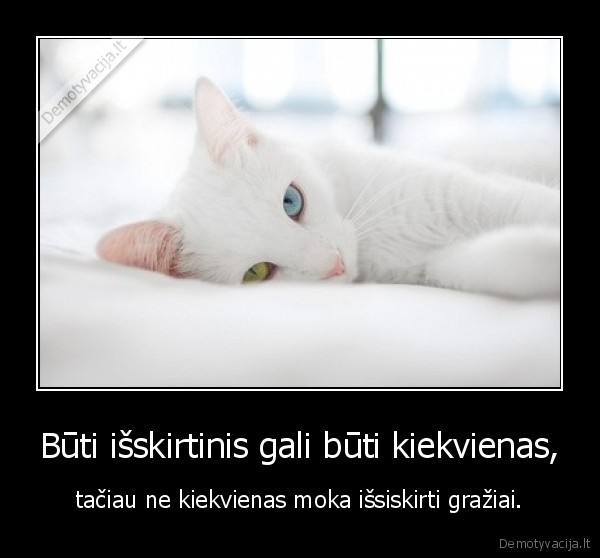 Būti išskirtinis gali būti kiekvienas,