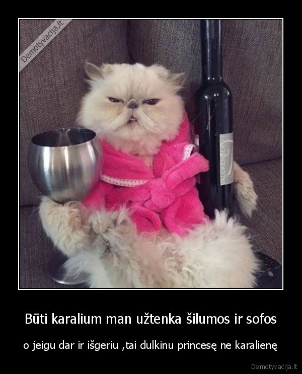 Būti karalium man užtenka šilumos ir sofos