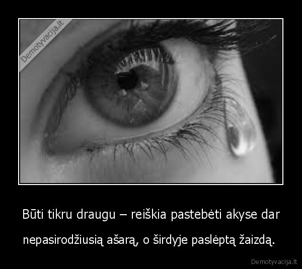 Būti tikru draugu – reiškia pastebėti akyse dar