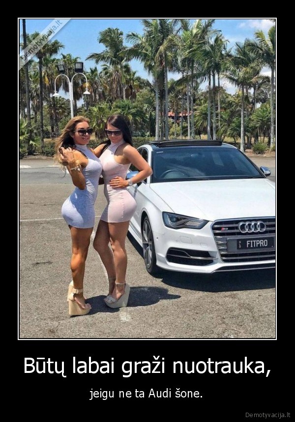 mergina,sikna,audi
