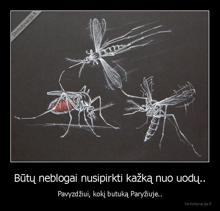 uodai,butukas,paryziuje,nusipirkti