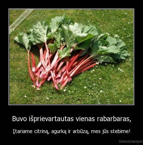rabarbarai,jus, musu, neuzcenzuruosit