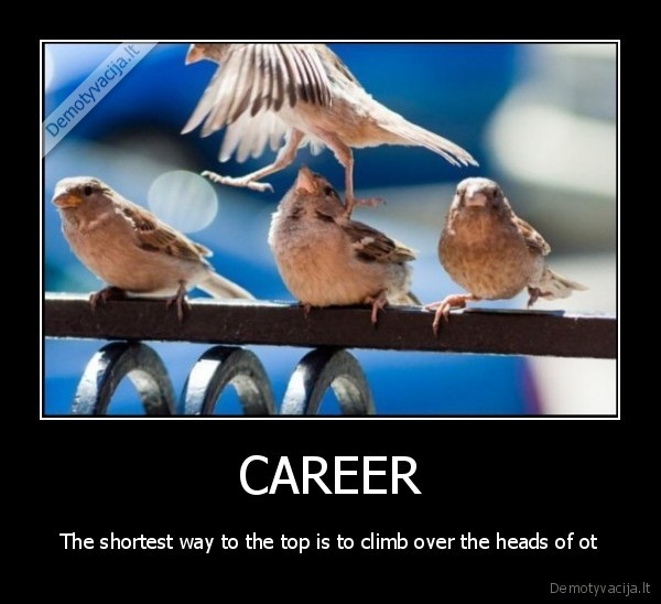 CAREER