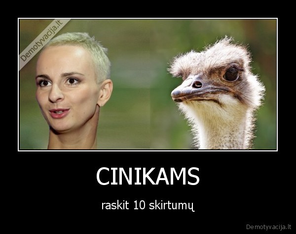 CINIKAMS
