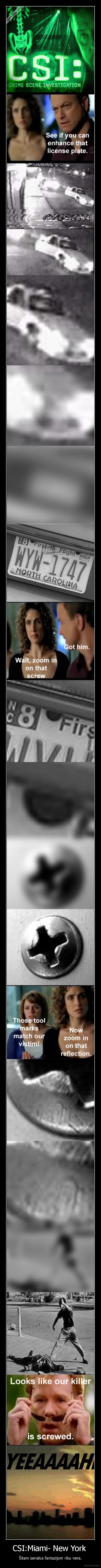 csi,new, york,maiami