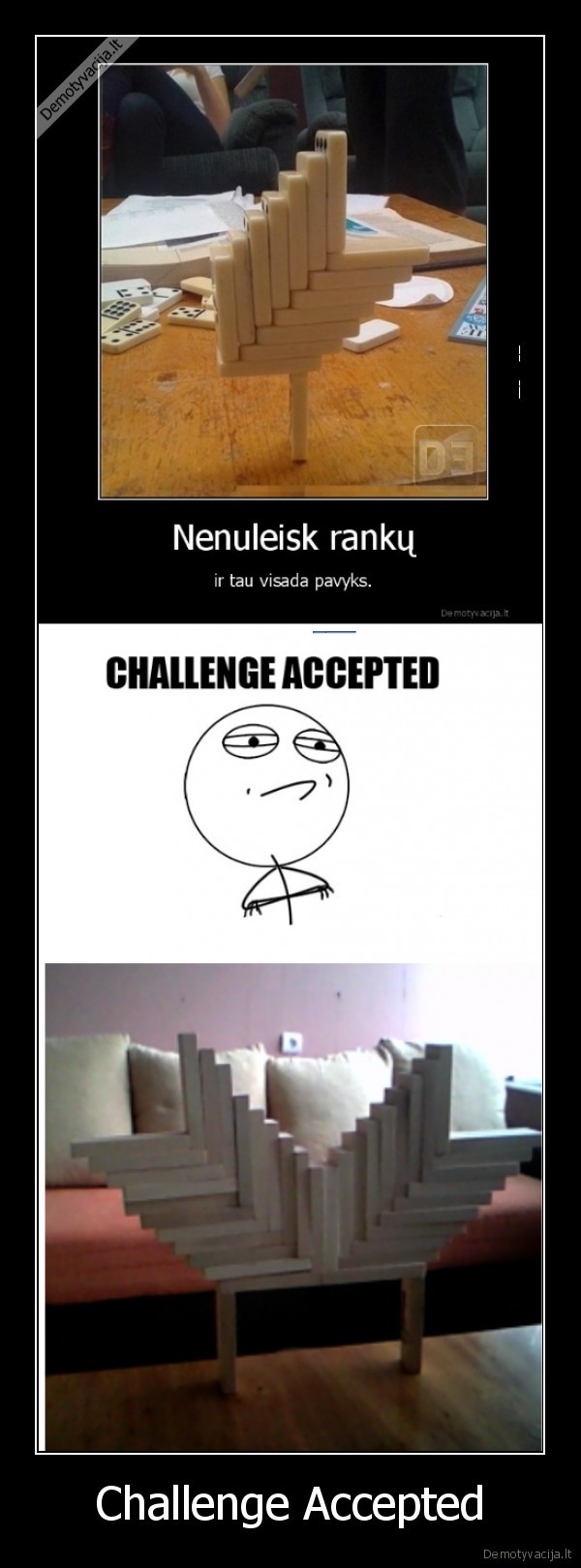 challenge,accepted,simba,domino,kaladeles