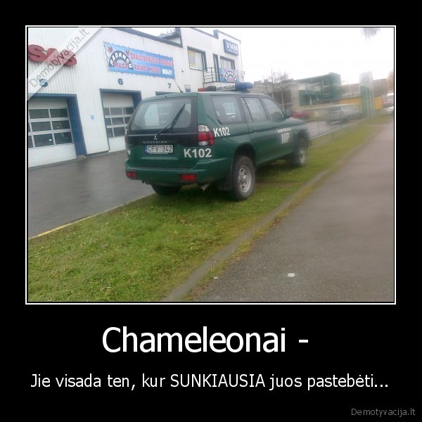 Chameleonai - 