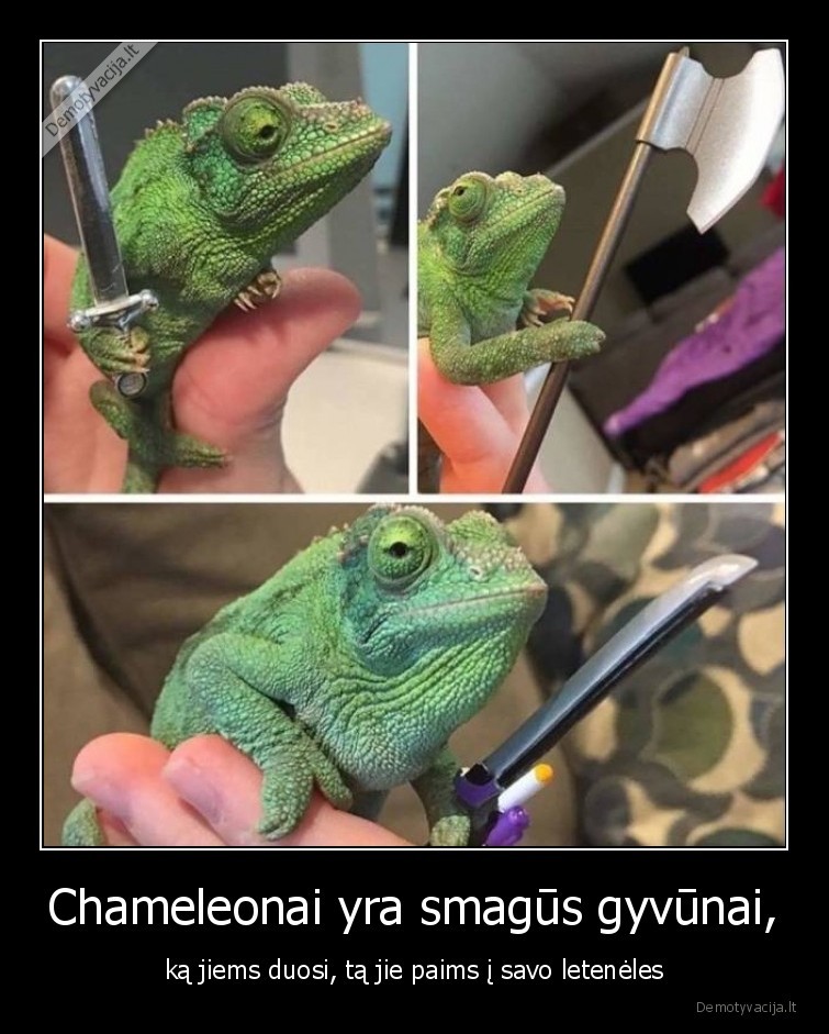 chameleonai,duosi,paims,leteneles