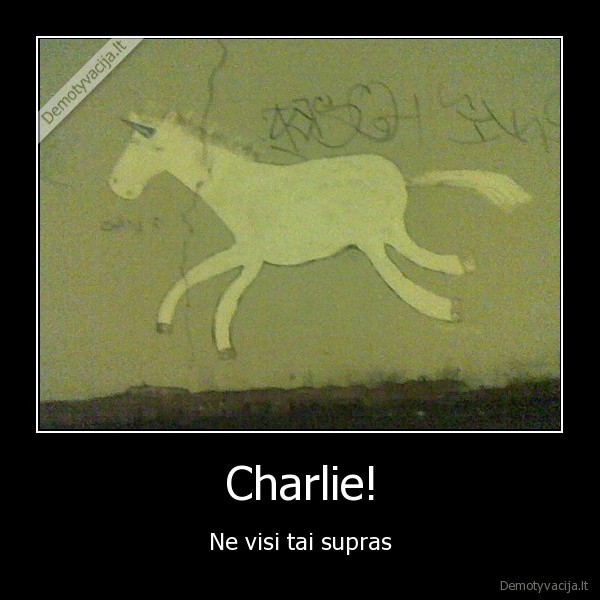 unicorn, charlie