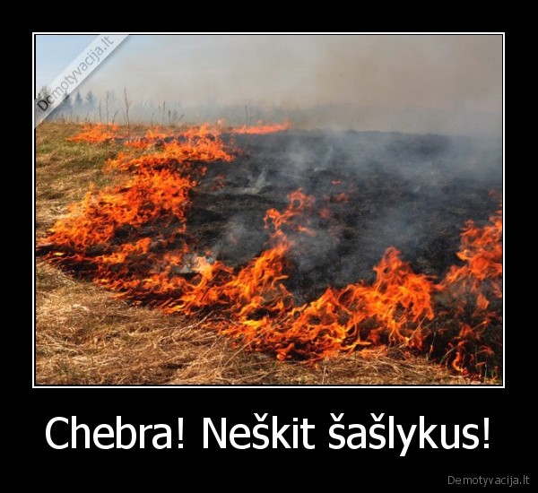 deganti, zole, chebra, saslykai